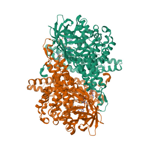 RCSB PDB - 6LQ7: Crystal Structure of E447A Acyl-CoA Dehydrogenase 