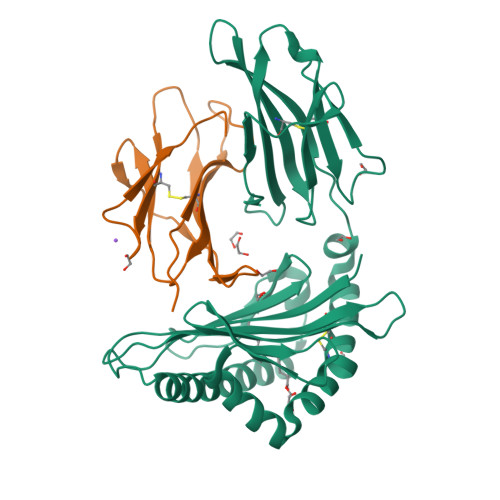 RCSB PDB - 6LT6: Crystal structure of rhesus macaque MHC class I ...
