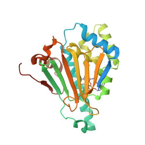 RCSB PDB - 6LT8: HSP90 in complex with KW-2478