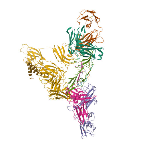 RCSB PDB - 6LXW: Cryo-EM structure of human secretory immunoglobulin A ...