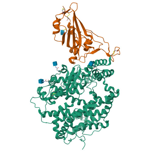 Rcsb Pdb 6m0j Crystal Structure Of Sars Cov 2 Spike Receptor Binding