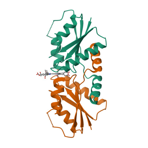 RCSB PDB - 6M2E: Sirohydrochlorin nickelochelatase CfbA in complex with ...