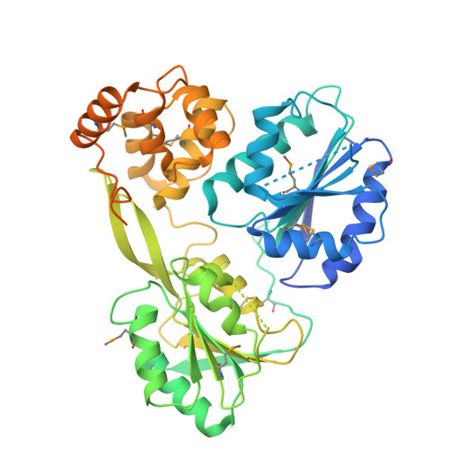 RCSB PDB - 6M40: Crystal structure of the NS3-like helicase from ...