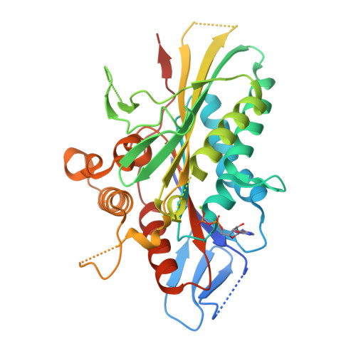 RCSB PDB - 6M4I: Structure of CENP-E motor domain at 1.9 angstrom ...