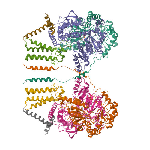 PDB 6M4N