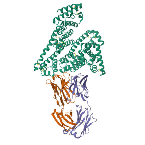 RCSB PDB - 6M58: Crystal structure of a complex between human serum ...