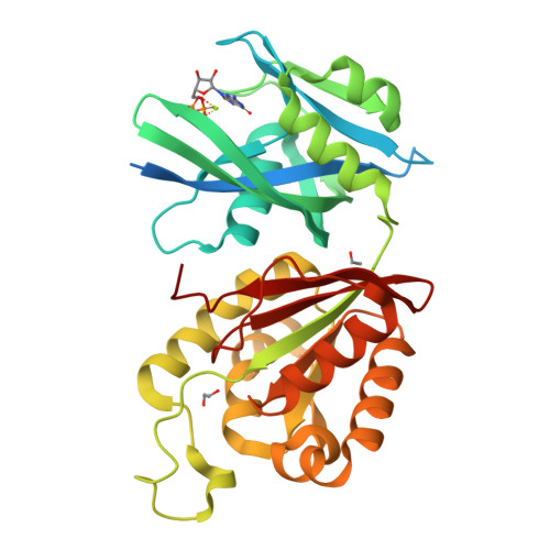 RCSB PDB - 6M69: Crystal structure of Mycobacterium smegmatis MutT1 in ...