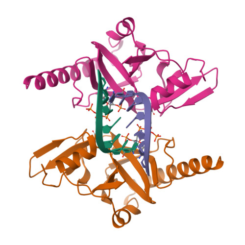 RCSB PDB - 6M6R: Crystal structure of Caenorhabditis elegans Dicer ...
