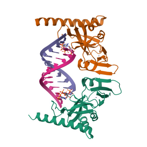 RCSB PDB - 6M6S: Crystal structure of Caenorhabditis elegans Dicer ...