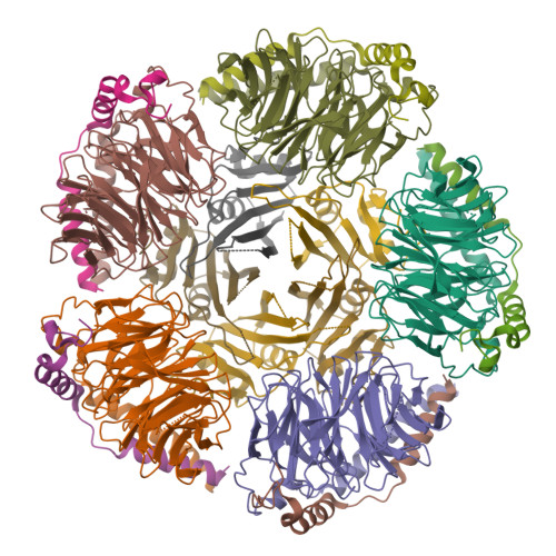 BTB/POZ domain-containing protein KCTD12 structure