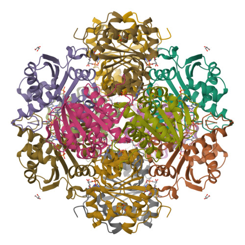 RCSB PDB - 6M8V: Crystal structure of UbiX-like FMN