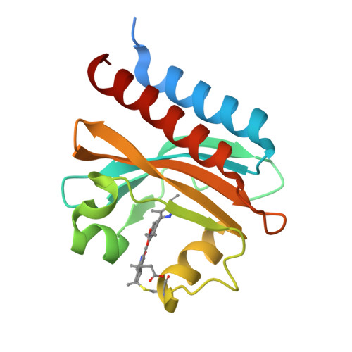 RCSB PDB - 6MGH: X-ray structure of monomeric near-infrared fluorescent ...