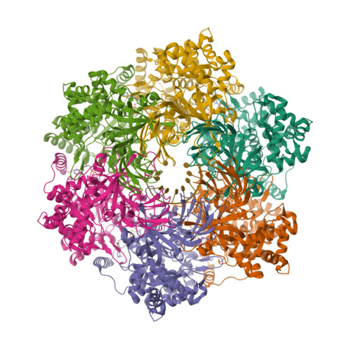 RCSB PDB - MCM Ligand Summary Page