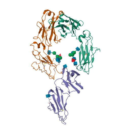 RCSB PDB - 6MJ3: CRYSTAL STRUCTURE OF RHESUS MACAQUE (MACACA MULATTA ...