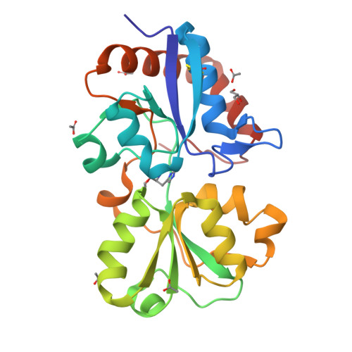 RCSB PDB - 6MLI: Crystal structure of the periplasmic Lysine-, Arginine ...