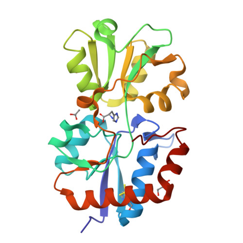 RCSB PDB - 6MLP: Crystal structure of the periplasmic Lysine-, Arginine ...