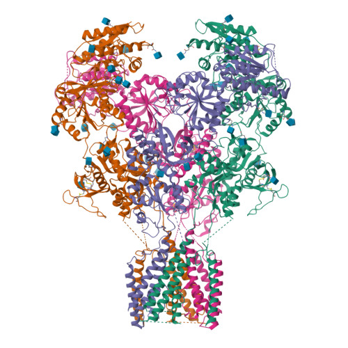 RCSB PDB - 6MMT: Triheteromeric NMDA receptor GluN1/GluN2A/GluN2A