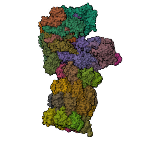 RCSB PDB - 6MSB: Cryo-EM Structures And Dynamics Of Substrate-engaged ...