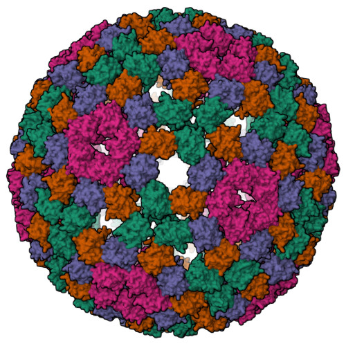 RCSB PDB - 6MX7: CryoEM structure of chimeric Eastern Equine ...