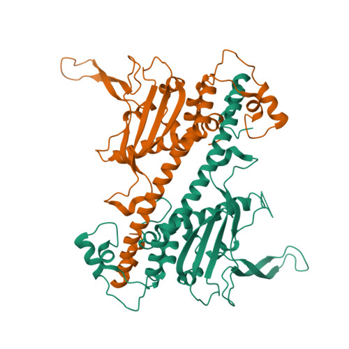 RCSB PDB - 6N2G: Crystal structure of Caenorhabditis elegans NAP1