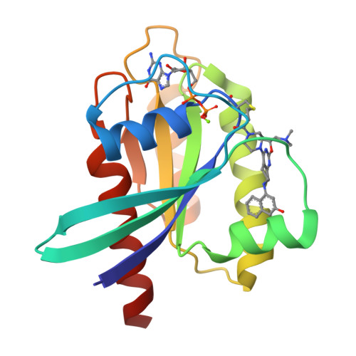 RCSB PDB - 6N2K: Tetrahydropyridopyrimidines as Covalent Inhibitors of ...