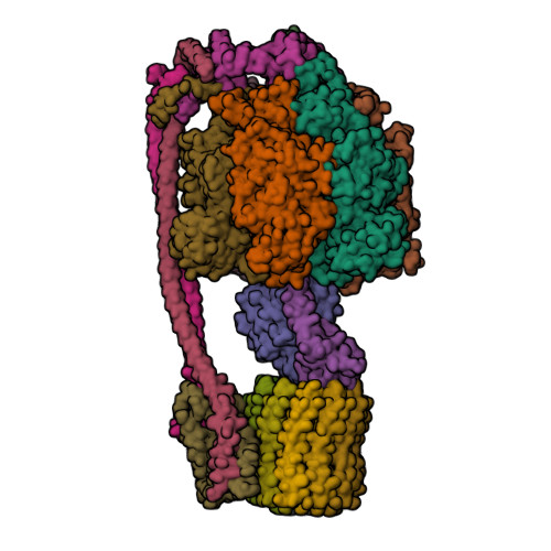 Delta Q Biologic 10 units