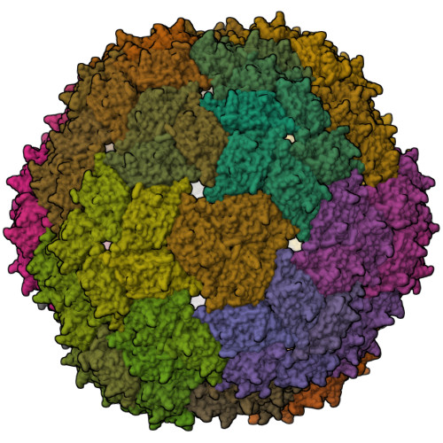 コメント者6/20 大15 RCSB PDB - 6N4V: CryoEM structure of Leviviridae PP7 WT coat