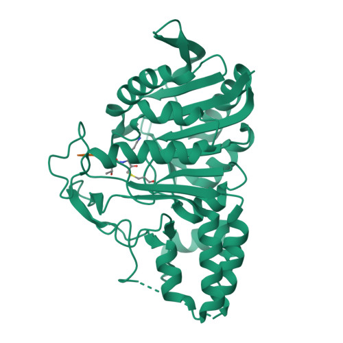 RCSB PDB - 6N9J: X-ray structure of a secreted C11 cysteine 