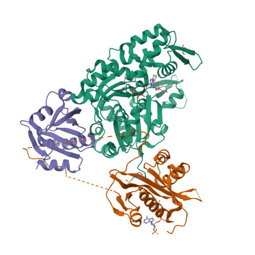 RCSB PDB - 6NBW: Ternary Complex of Beta/Gamma-Actin with Profilin and ...