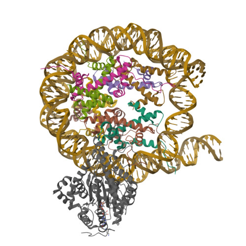PDB 6NE3