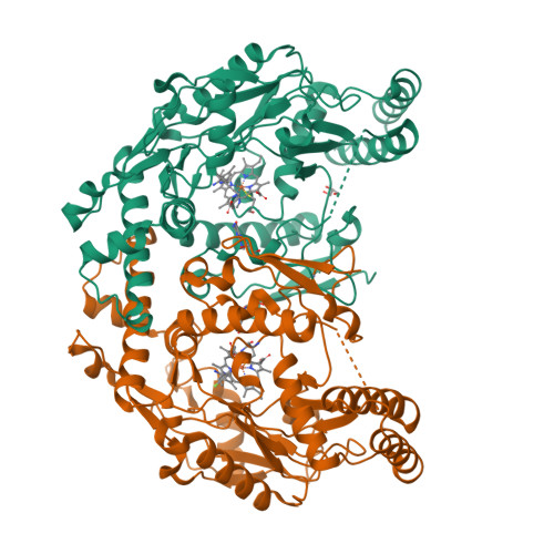 RCSB PDB - 6NGE: Structure of human neuronal nitric oxide synthase