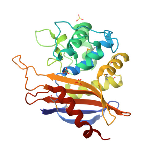 RCSB PDB - 6NI0: Crystal Structure of the Beta Lactamase Class D 