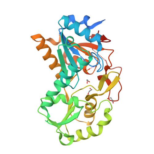 RCSB PDB - 6NQ4: Crystal structure of a Hydrolase, haloacid ...