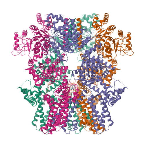 RCSB PDB - 6NR2: Cryo-EM structure of the TRPM8 ion channel in complex ...