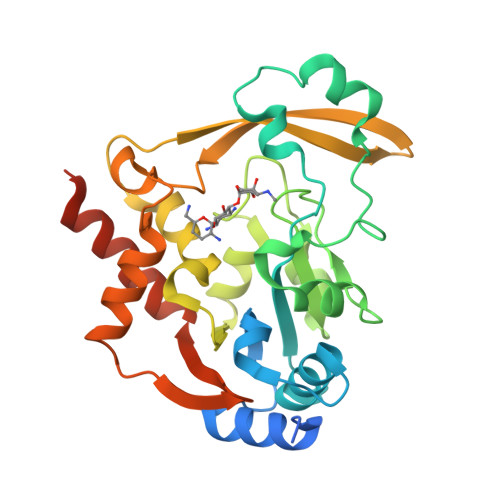 RCSB PDB - 6NTJ: Neutron/X-ray crystal structure of AAC-VIa bound to ...