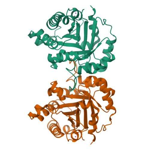 RCSB PDB - 6NXX: Crystal structure of Arabidopsis thaliana