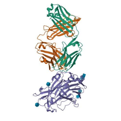 RCSB PDB 6NYQ Crystal structure of glycosylated lysosomal membrane