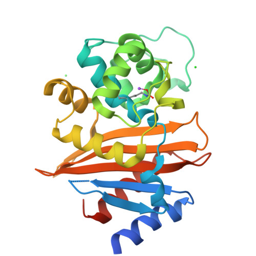 RCSB PDB - 6NZ8: Structure of carbamylated apo OXA-231 carbapenemase