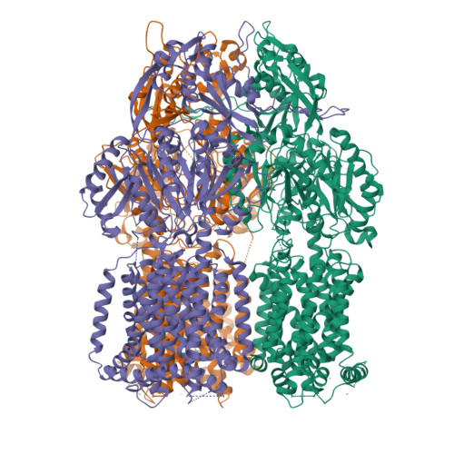 RCSB PDB - 6NZI: Low resolution crystal structure of the bacterial ...