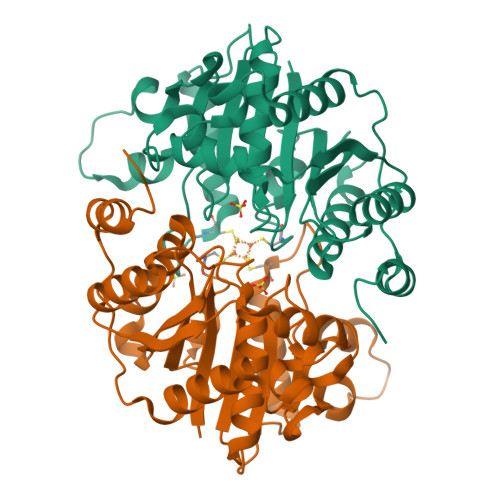 RCSB PDB - 6NZJ: Structural Analysis of a Nitrogenase Iron Protein from ...