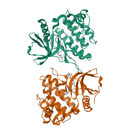 Rcsb Pdb Nzq Crystal Structure Of Tyrosine Kinase Jh Pseudo