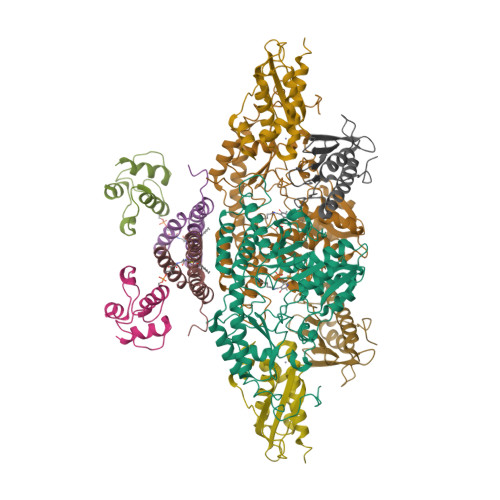 RCSB PDB - 6NZU: Structure of the human frataxin-bound iron-sulfur 