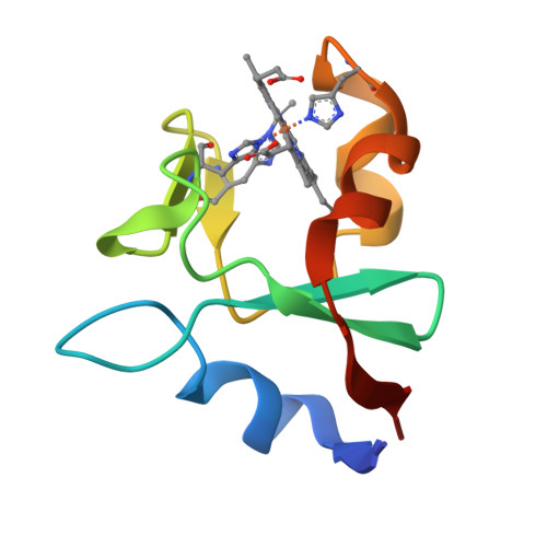 RCSB PDB - 6NZX: Hadesarchaea YNP_N21 cytochrome b5 domain protein ...