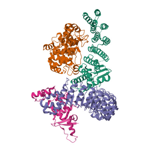 PDB 6O60