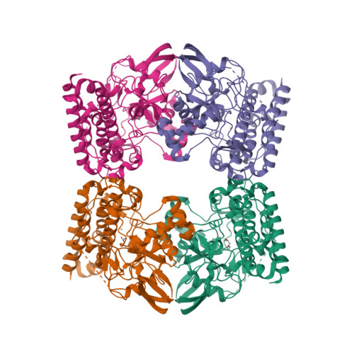 RCSB PDB - 6O6M: The Structure of EgtB (Cabther)