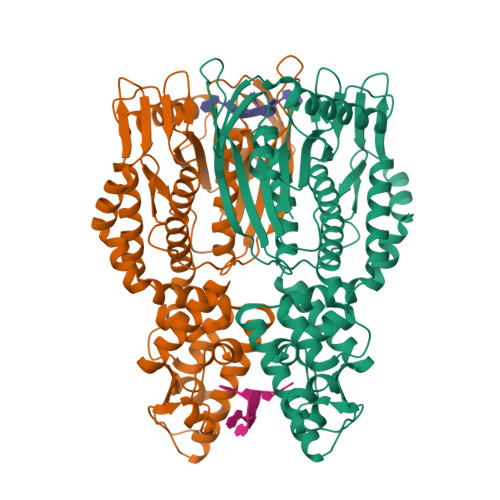 RCSB PDB - 6O6V: Crystal structure of Csm6 in complex with cA4 by ...