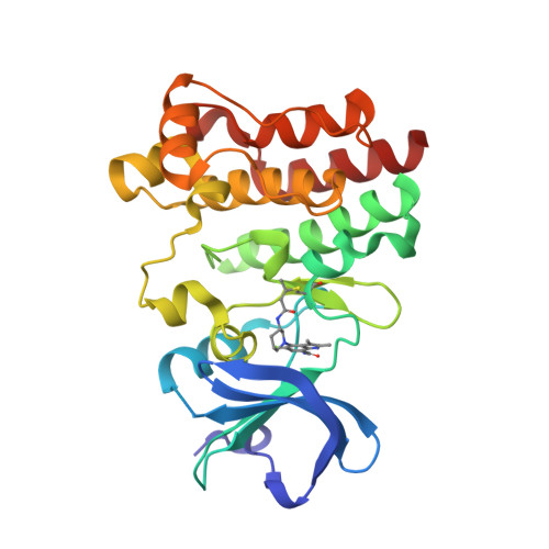 RCSB PDB - 6O8I: BTK In Complex With Inhibitor