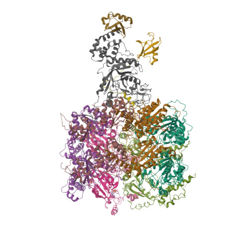 RCSB PDB - 4H6R: Structure of reduced Deinococcus radiodurans