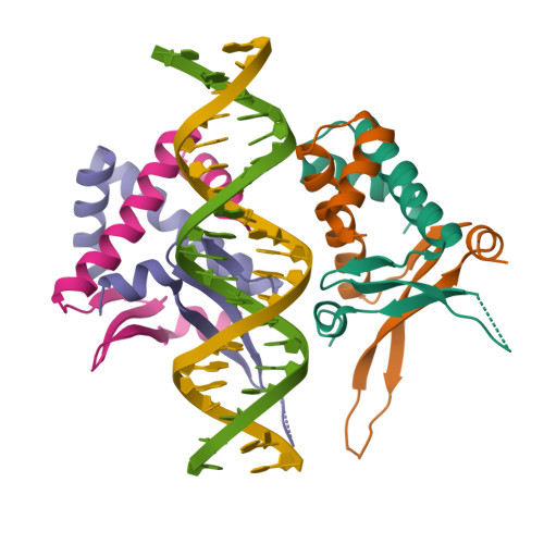 RCSB PDB - 6OAJ: HUaE34K 19bp SYM DNA