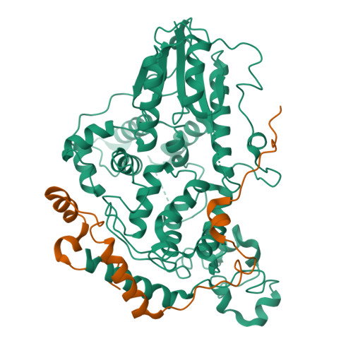 PDB 6OF7